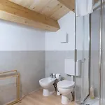 Borgo Feriani Apartman Montegalda